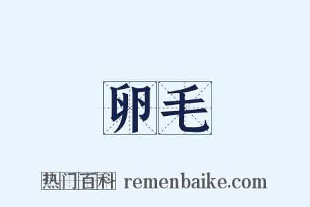 卵毛是什么意思的图片